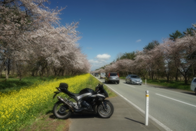 f:id:GSX-R1000:20170425225132j:image