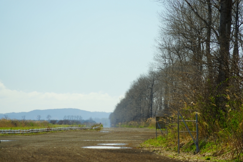 f:id:GSX-R1000:20170425225135j:image