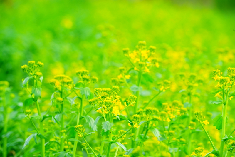 f:id:GSX-R1000:20170517230008j:image