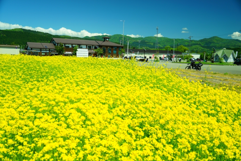 f:id:GSX-R1000:20170522205251j:image