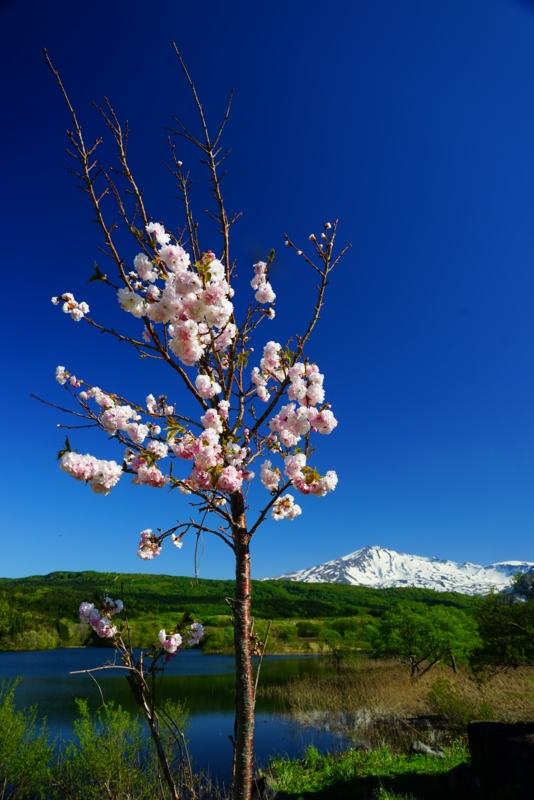 f:id:GSX-R1000:20170522205259j:image