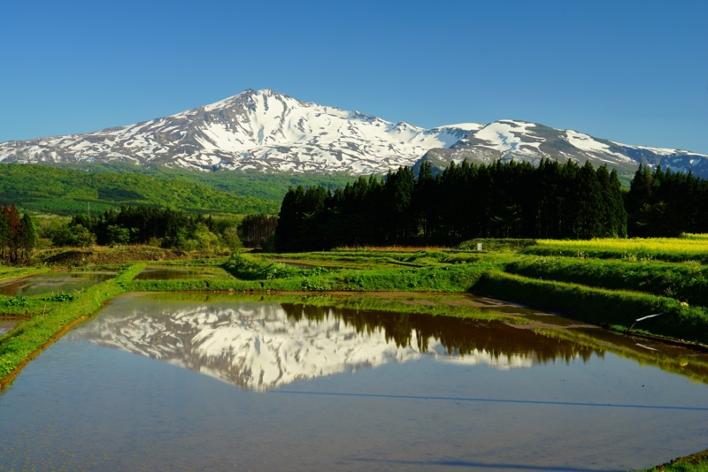 f:id:GSX-R1000:20170522205300j:image