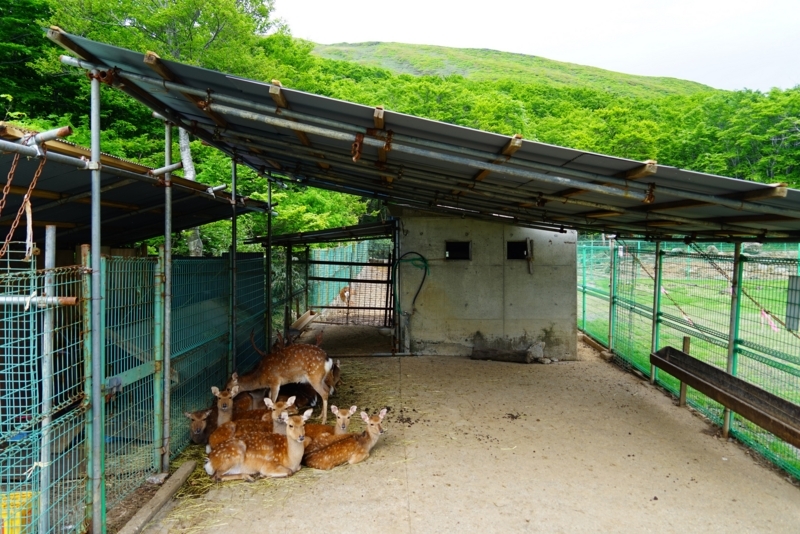 f:id:GSX-R1000:20170617002754j:image