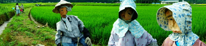 f:id:GSX-R1000:20170727220701j:image