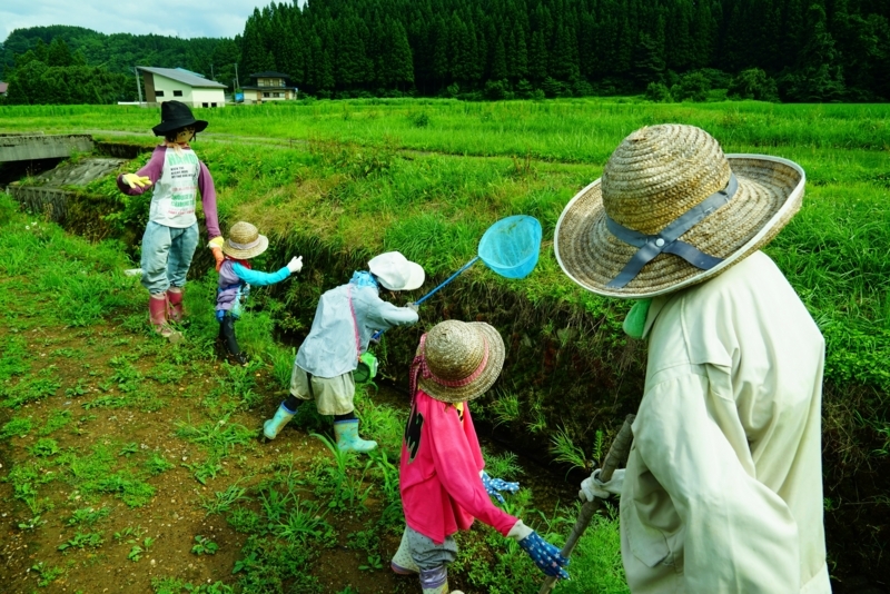 f:id:GSX-R1000:20170727220703j:image