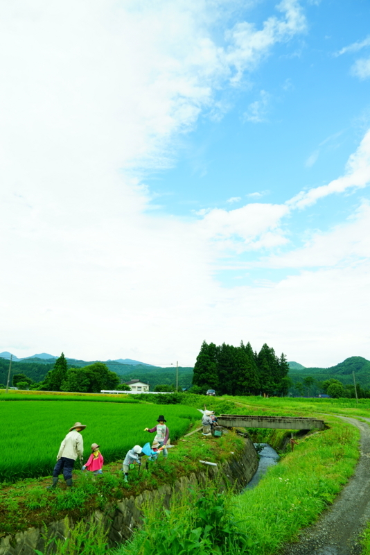 f:id:GSX-R1000:20170727220707j:image