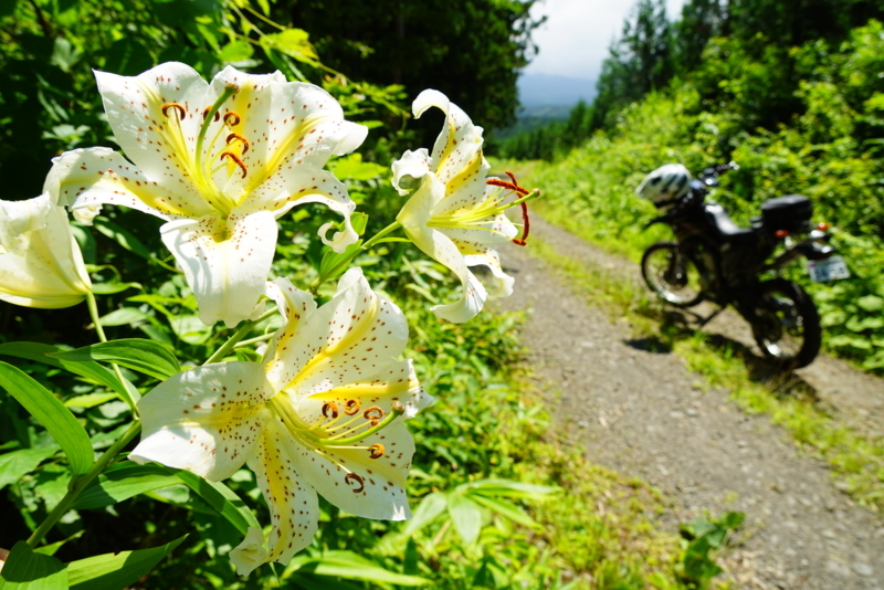 f:id:GSX-R1000:20170810203748j:image f:id:GSX-R1000:20170810203748j:image