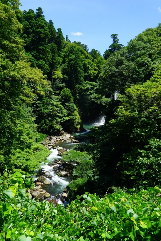 f:id:GSX-R1000:20170810203749j:image f:id:GSX-R1000:20170810203749j:image
