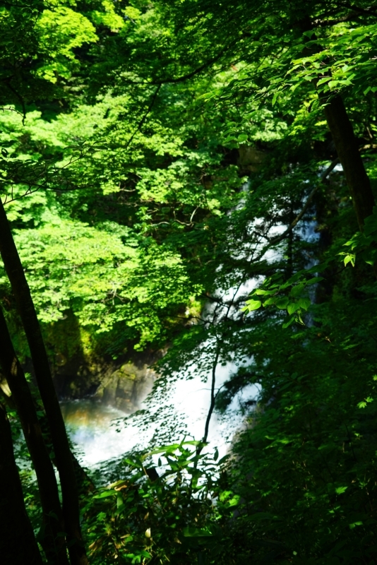 f:id:GSX-R1000:20170810203751j:image f:id:GSX-R1000:20170810203751j:image