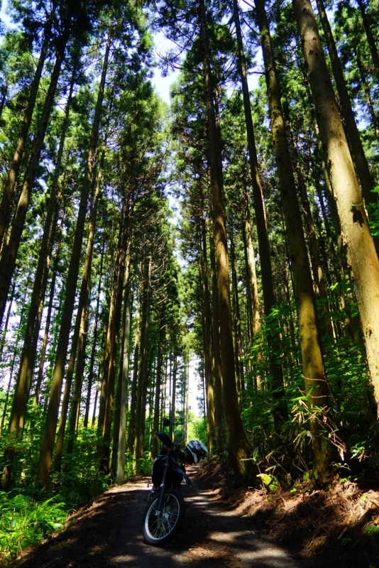 f:id:GSX-R1000:20170810203758j:image f:id:GSX-R1000:20170810203758j:image