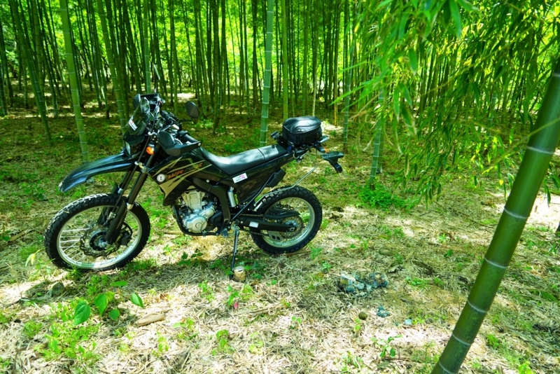 f:id:GSX-R1000:20170810203802j:image f:id:GSX-R1000:20170810203802j:image