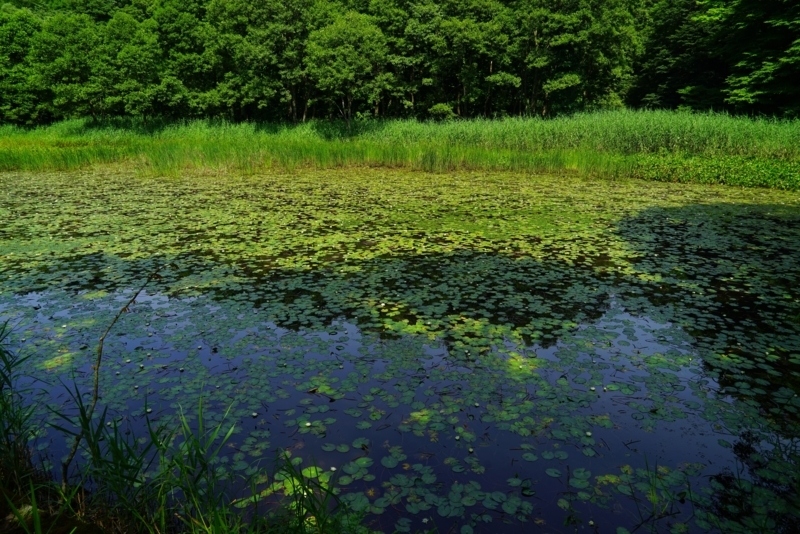 f:id:GSX-R1000:20170810203830j:image f:id:GSX-R1000:20170810203830j:image