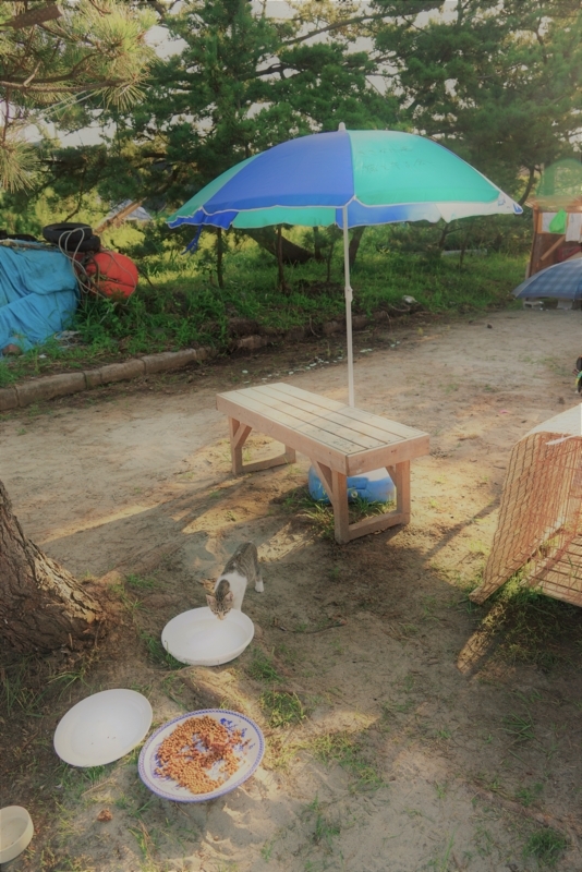 f:id:GSX-R1000:20170810203905j:image