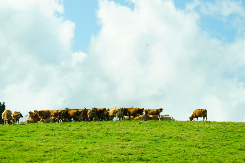 f:id:GSX-R1000:20170831200418j:image