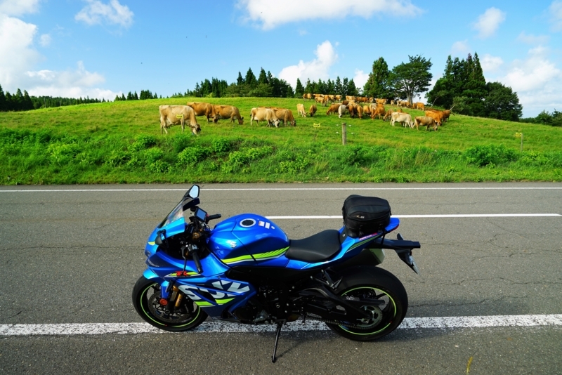 f:id:GSX-R1000:20170831200419j:image
