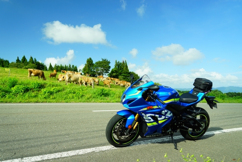 f:id:GSX-R1000:20170831200420j:image