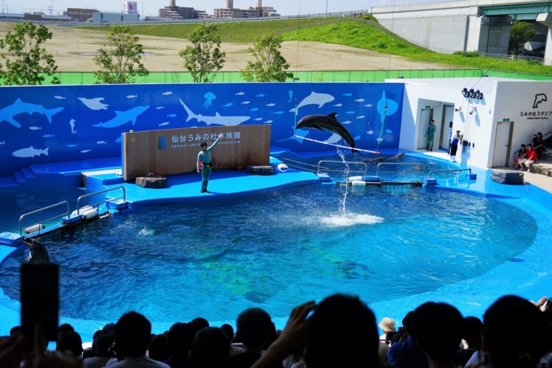 f:id:GSX-R1000:20170911212541j:image