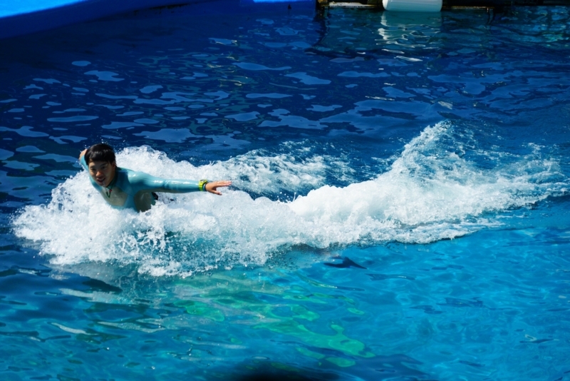 f:id:GSX-R1000:20170911212544j:image