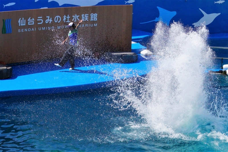 f:id:GSX-R1000:20170911212547j:image