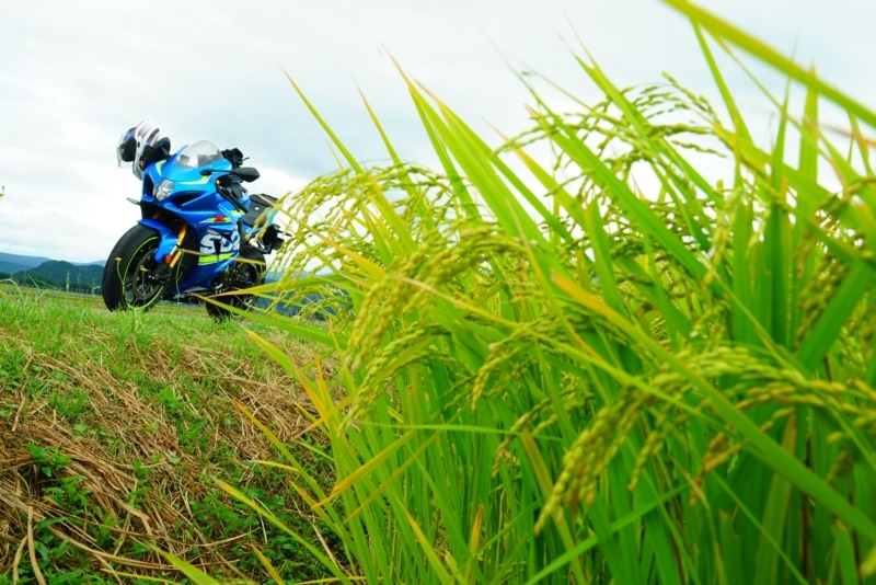 f:id:GSX-R1000:20170923212332j:image