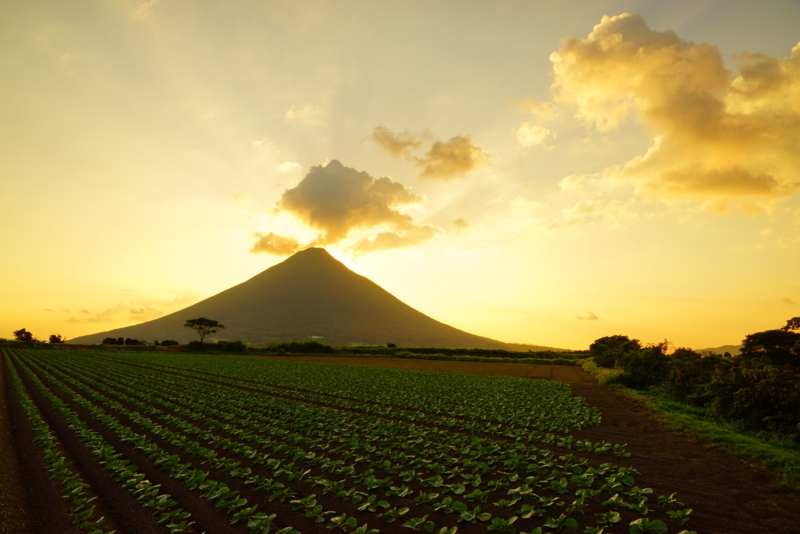 f:id:GSX-R1000:20171015183901j:image