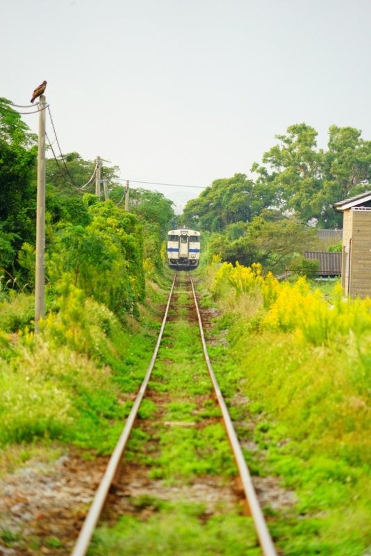 f:id:GSX-R1000:20171015183935j:image