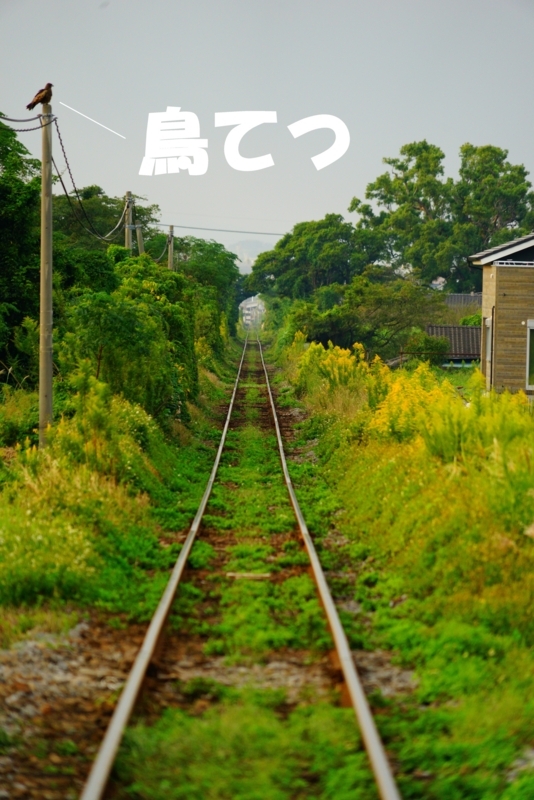 f:id:GSX-R1000:20171015183944j:image