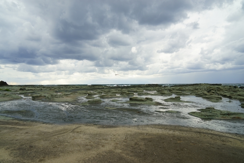 f:id:GSX-R1000:20171023124944j:image