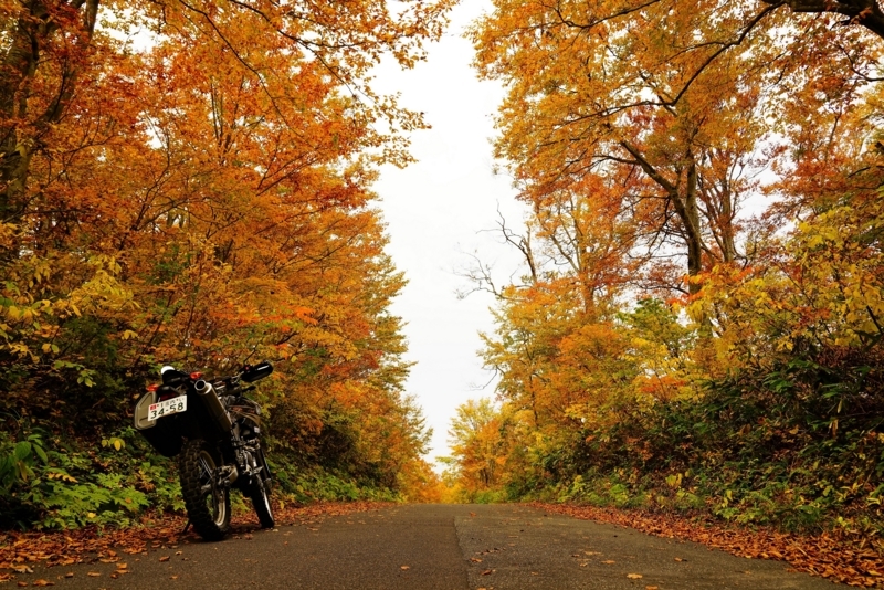 f:id:GSX-R1000:20171104212022j:image