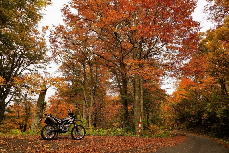 f:id:GSX-R1000:20171104212024j:image