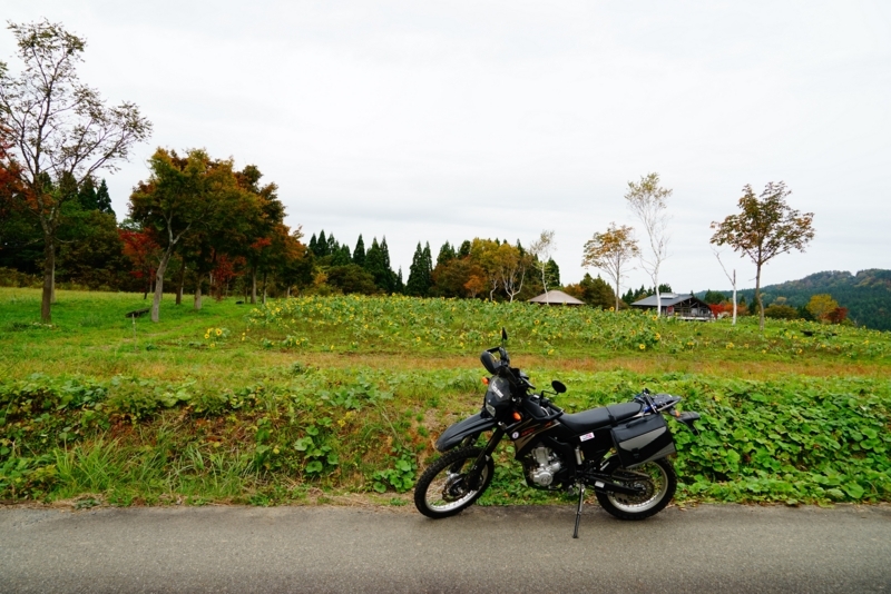 f:id:GSX-R1000:20171104212027j:image