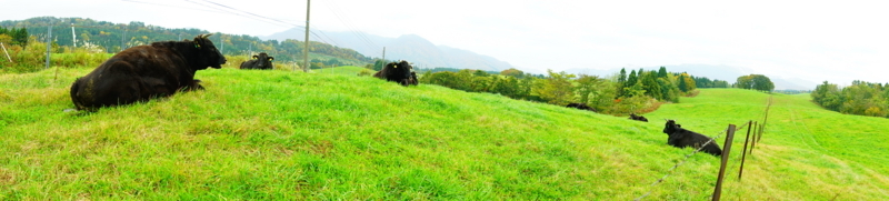 f:id:GSX-R1000:20171104212033j:image