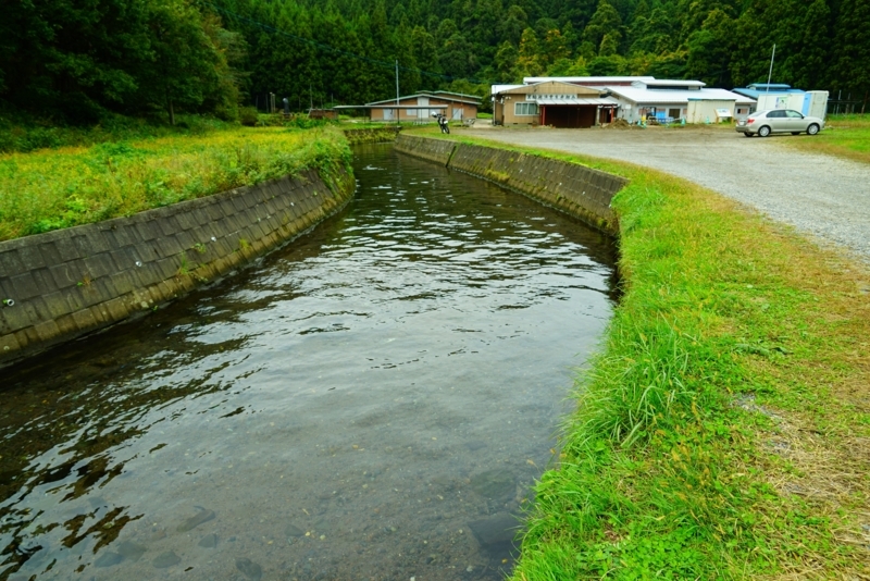 f:id:GSX-R1000:20171104212040j:image