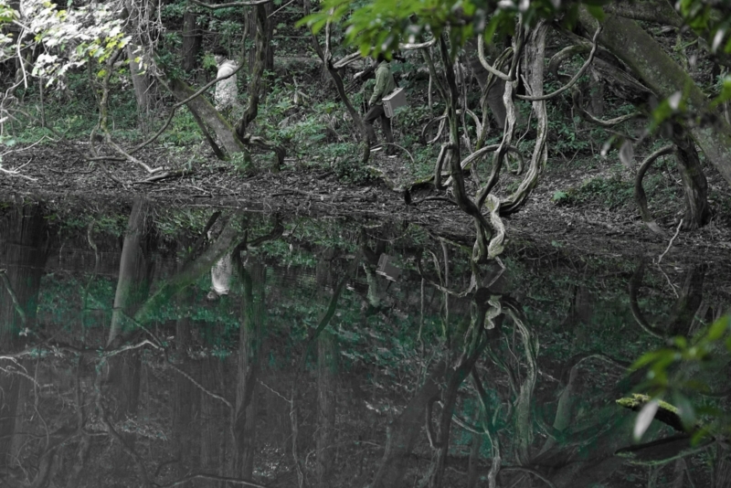 f:id:GSX-R1000:20171104212048j:image