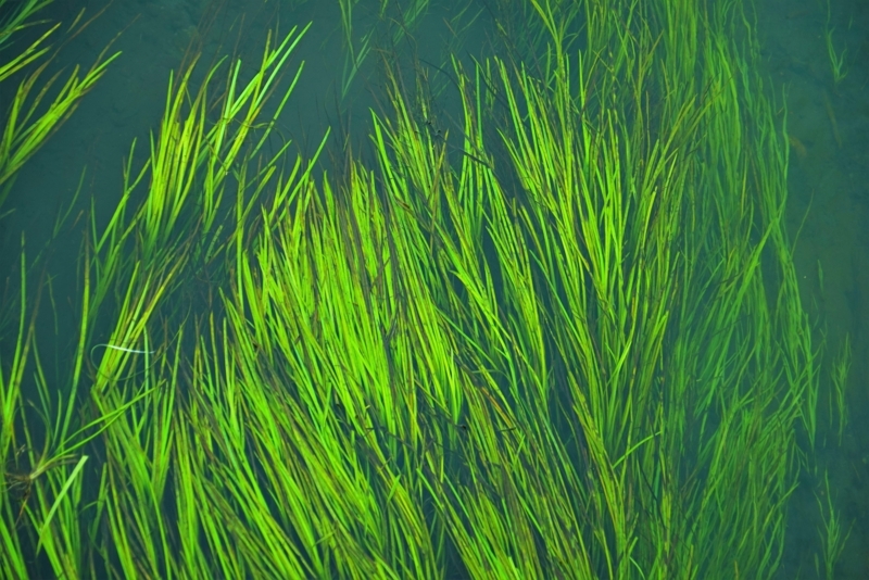 f:id:GSX-R1000:20171104212052j:image