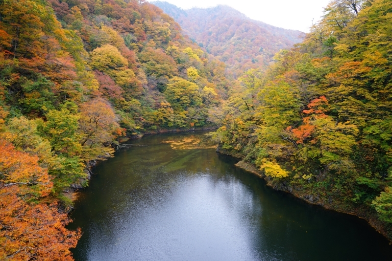 f:id:GSX-R1000:20171106215443j:image