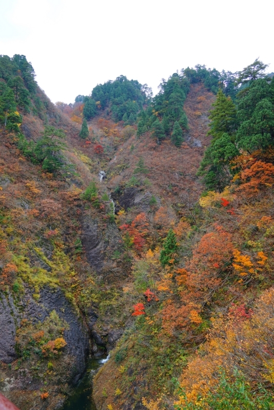 f:id:GSX-R1000:20171106215457j:image