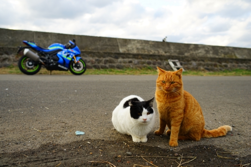f:id:GSX-R1000:20171112210858j:image