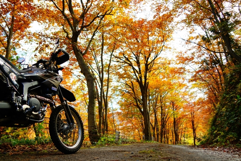 f:id:GSX-R1000:20171121213858j:image