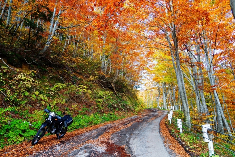 f:id:GSX-R1000:20171121213900j:image