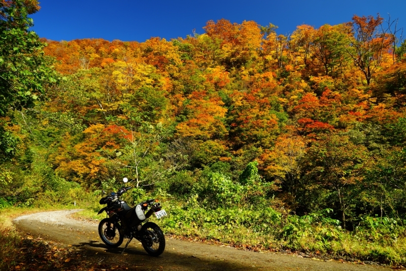 f:id:GSX-R1000:20171121213904j:image