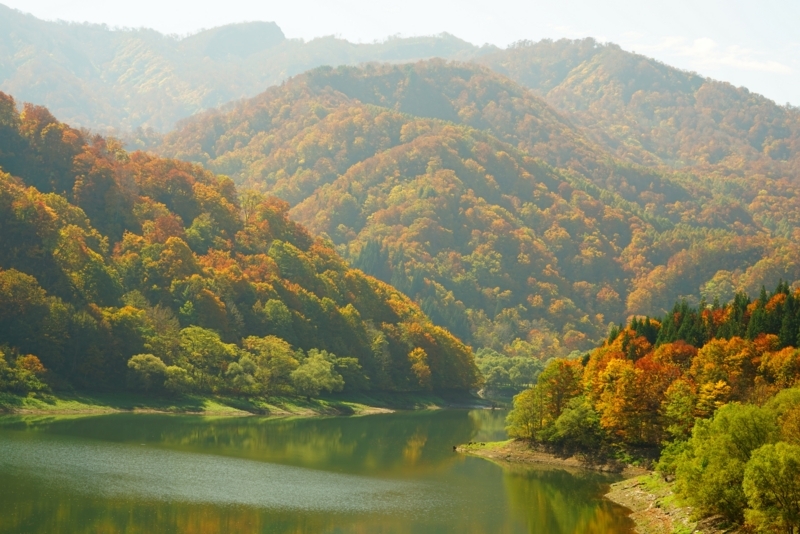 f:id:GSX-R1000:20171121213906j:image