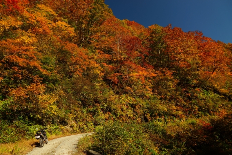 f:id:GSX-R1000:20171121213907j:image