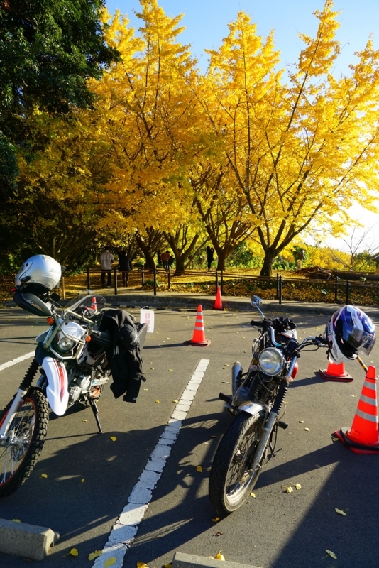 f:id:GSX-R1000:20171208224145j:image
