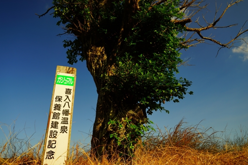 f:id:GSX-R1000:20171220195345j:image