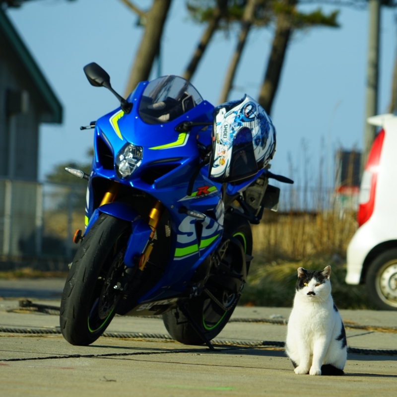 f:id:GSX-R1000:20180305213341j:image