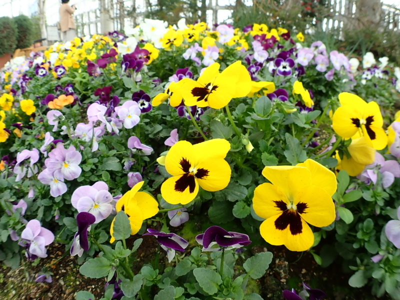 f:id:GSX-R1000:20180316140829j:image