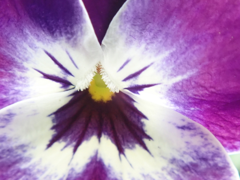 f:id:GSX-R1000:20180316140830j:image