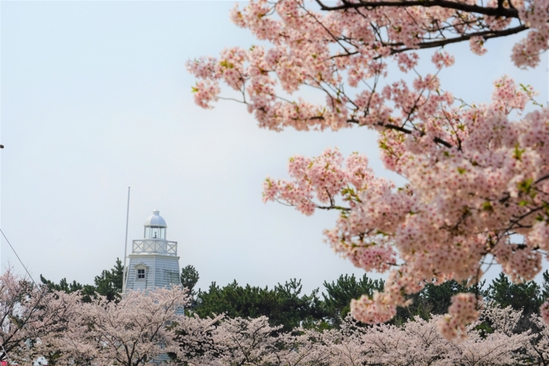 f:id:GSX-R1000:20180508204847j:image