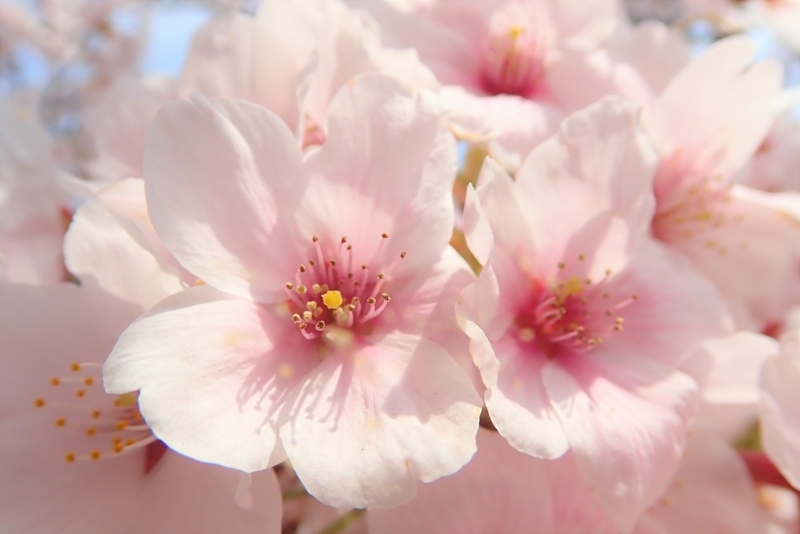 f:id:GSX-R1000:20180508204855j:image